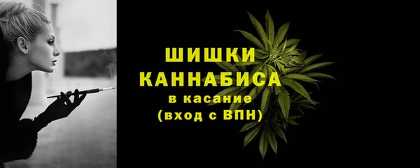 сатива Верхний Тагил
