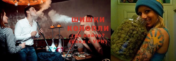 сатива Верхний Тагил